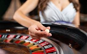 12x4 Sportsbook